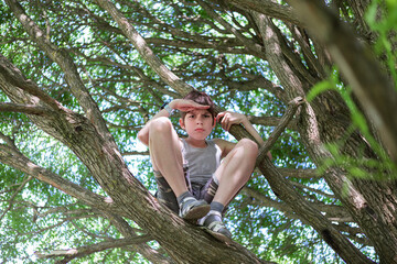 Attentive boy in shorts and undershirt sitting on tree branches.