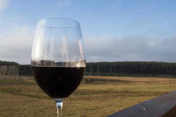 glass of wine