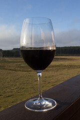 glass of wine