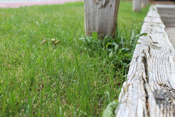 wooden fence and grass