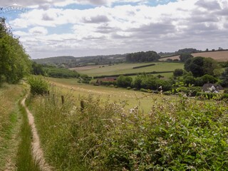 Walk in the Chilterns.