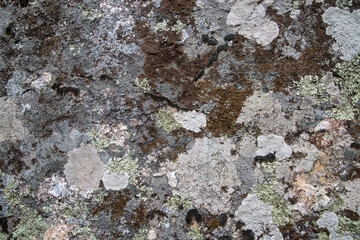 Lichen-covered grey granite rocks as texture or background