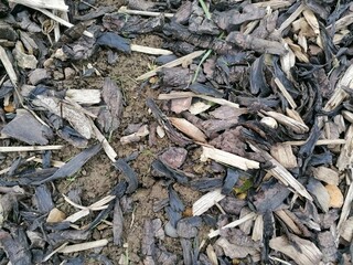 close up of a pile of wood 