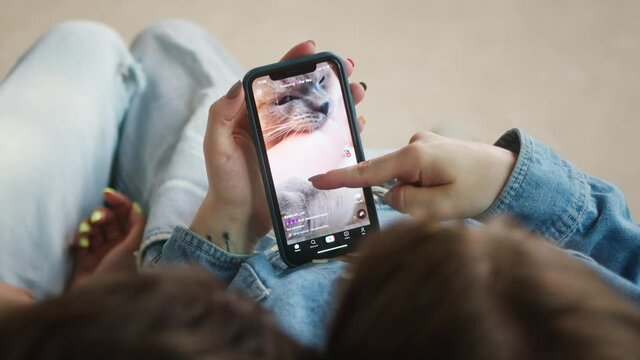 Close-up of young women sitting on sofa and watching short funny videos with cats on mobile phone. Sisters watch stories in social networks. Female friends surfing the internet on smartphone.