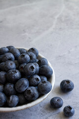 Florida Blueberries in Pottery Bowl on Gray Background