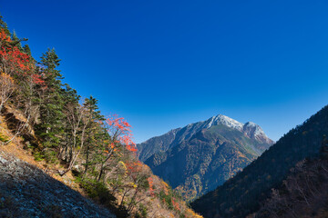 Mt.Senjogatake, autumn 秋の仙丈ケ岳登山