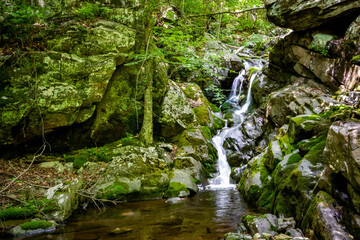Naklejka na ściany i meble White Oak Canyon and Cedar Run trail loop waterfalls in Shenandoah National Park