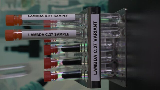 Lambda C37 Variant Samples Being Inserted Into Rack. Vertical Video, Locked Off