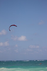 kite on the beach