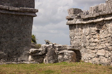 ruins of the ancient city