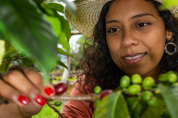 Close-up of the face of a beautiful latina peasant woman wearing a hat taking a ripe coffee bean...