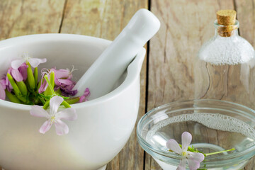 Saponaria Soapwort essence oil shampoo with saponina in a bowl with a flower near a bottle with the...