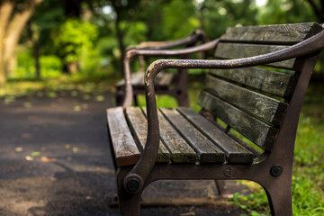 公園の雨に濡れた古いベンチと柔らかい陽の光を浴びる木々