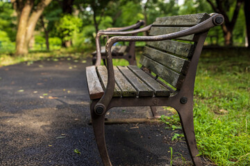 公園の雨に濡れた古いベンチと柔らかい陽の光を浴びる木々