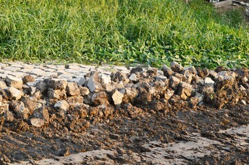 dry soil for agriculture in country Thailand