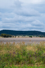 Autumn colours of a empty paddock in rural NSW Australia
