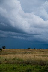 Dark Grey colours over a paddock before the rain  starts in rural NSW, Australia.
