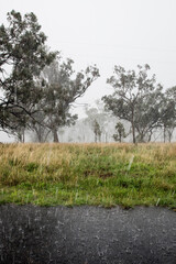 Rain pours down over trees and green grass in rural NSW Australia