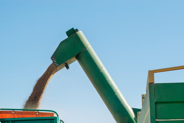 Harvester machine harvesting Wheat in Pampa region in Argentina