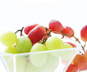 種なしブドウ　　イメージ