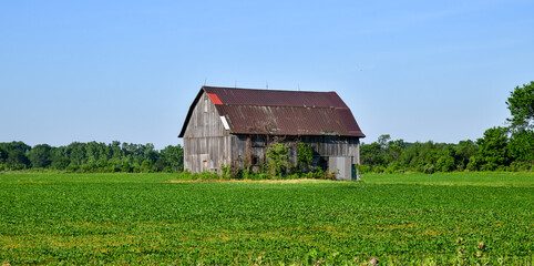 Fototapeta na wymiar Weathered old farm barn 