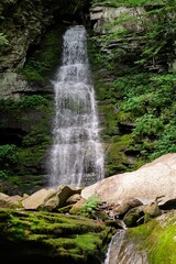 Scenic Forest Waterfall in Summer