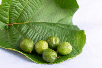 Mini Hardy kiwis over a leaf isolated in white background. With selective focusing and copy space.