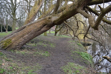 Beautiful landscape of the Kirkstall Abbey ruins, Leeds, England; taken in a rainy day of 2 April...