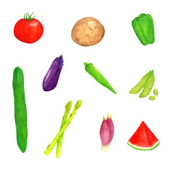 Watercolor illustration of fresh summer vegetables.