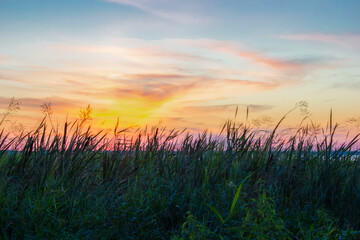 Sky, grass, horizon, sunset. Beautiful landscape of the evening sky. copy space