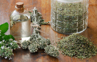 Catnip (Nepeta Cataria var. citriodora) essence oil with fresh and dried branches. Also there is a jar with dried cutted Nepeta leaves © Gaston