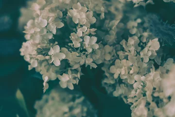 Schöner künstlicher Blumen-Hintergrund, Weinleseart  © joeycheung