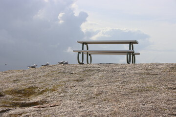 Picnic spot near Waubs Bay, Bicheno, eastern Tasmania, Australia.