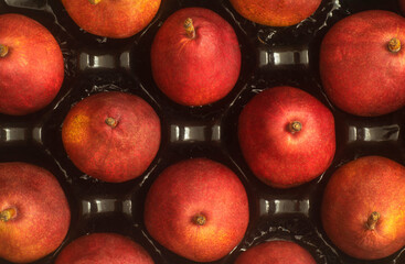 Top view of a crate with Red Anjou Pears