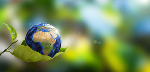 globe on green leaf environment concept