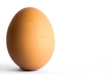 Single brown chicken egg isolated on white background. Copy Space