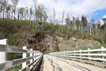 Fototapeta premium Tyremarks on the Tayatea bridge crossing the Arthur River in north-west Tasmania, Australia.