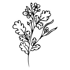 The branch is celandine. Medicinal herb