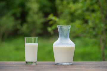 Fresh white milk in a jug and glass on wooden table in nature background. White milk in summer day in green garden