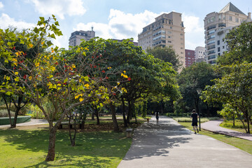 Fototapeta premium Natureza do parque do Povo em São Paulo em região nobre da cidade, próximo a alguns prédios de luxo