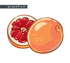 sketch_grapefruit_half_and_a_whole_fruit