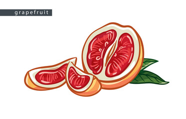 sketch_grapefruit_half_of_the_fruit_two_slices_and_leaves