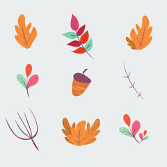 Autumn hand drawn elements Free Vector