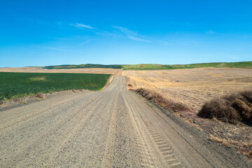 Fototapeta na wymiar A gravel road through hay fields of the Palouse region of southeastern Washington, USA