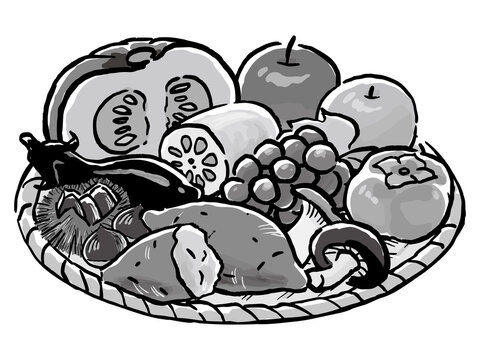 61 Best ぶどう イラスト 白黒 Images Stock Photos Vectors Adobe Stock