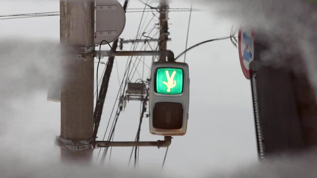 梅雨の小雨の中、水溜に映った歩行者用信号機