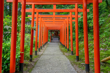 Fototapeta na wymiar 伊奈波神社