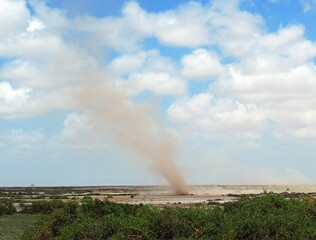 dust devil on a sunny day in amboseli national park, kenya,  east africa