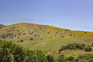 Landscape of green mountains and trees.