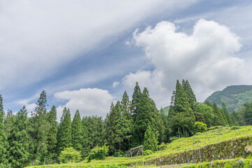 貝原棚田